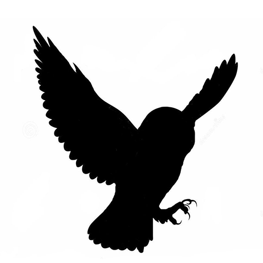 Light To Dark icon