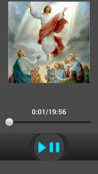 Rosary Audio English with soft background music screenshot 4