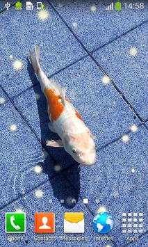 Koi Fish Live Wallpapers screenshot 2