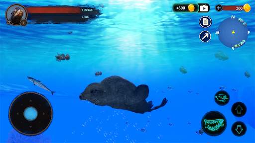 The Sea Lion 1 تصوير الشاشة