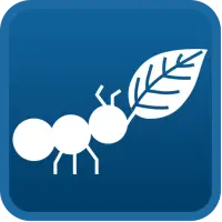PlantAPP