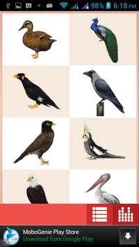 Birds स्क्रीनशॉट 4