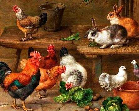 Farm Animal Puzzles Free Games screenshot 5
