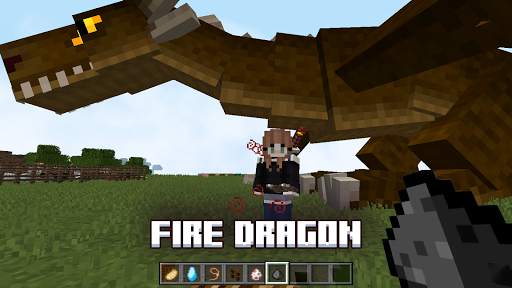 Dragons Mods for Minecraft ™ screenshot 3