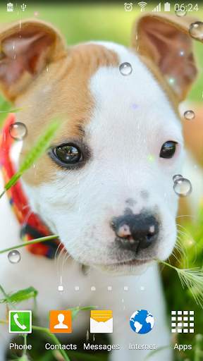 Cute Animals Live Wallpaper screenshot 6