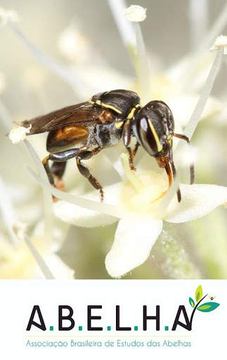 ABELHA App screenshot 1