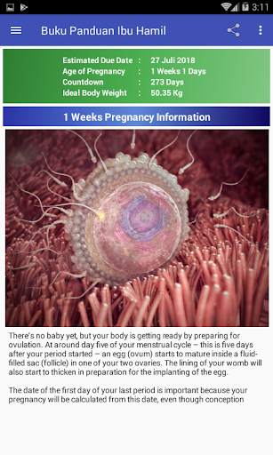 Pregnancy Guide screenshot 1