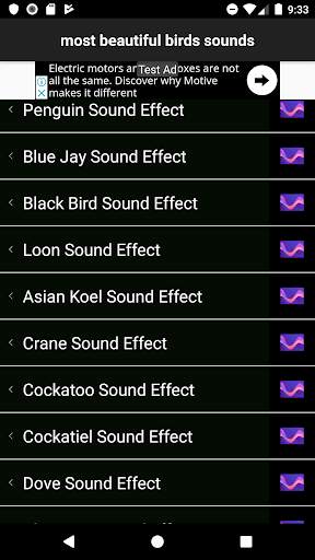 most beautiful birds sounds screenshot 1
