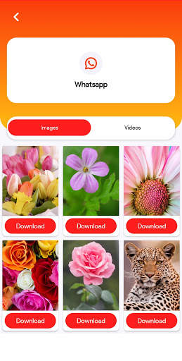Heloo - Download All Social Media Photos, Videos screenshot 3
