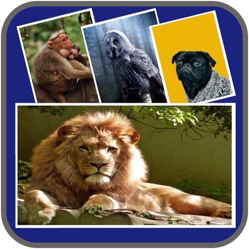 Music Video Maker App - Slideshow With Music 1.0