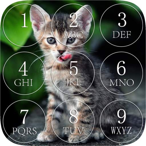 Kitten Lock Screen 3.0