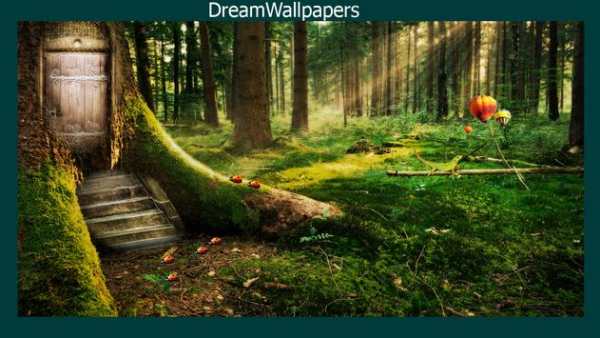 Enchanted Forest Wallpaper screenshot 4