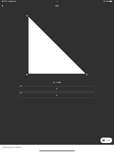Right Triangle Calculator screenshot 6