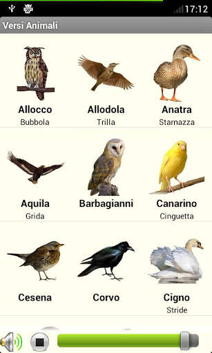 I play it ? Animal Sounds 6 تصوير الشاشة