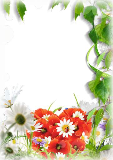 Photo Frame screenshot 10