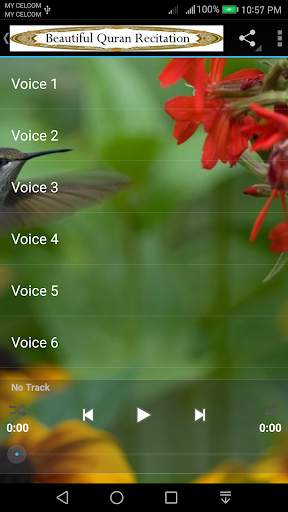 Beautiful Quran Recitation 2 screenshot 2