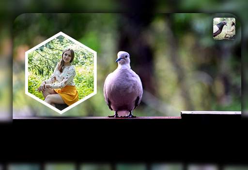 Dove Photo Editor - Dove Photo Frames screenshot 5