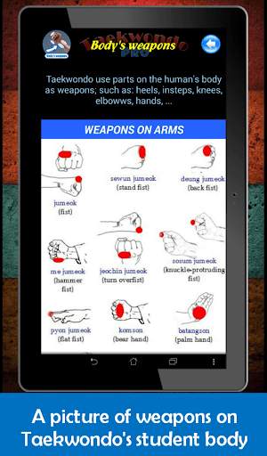 Taekwondo Pro screenshot 13