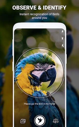 Birds Identifier App by Photo, Bird ID Camera 2020 screenshot 13