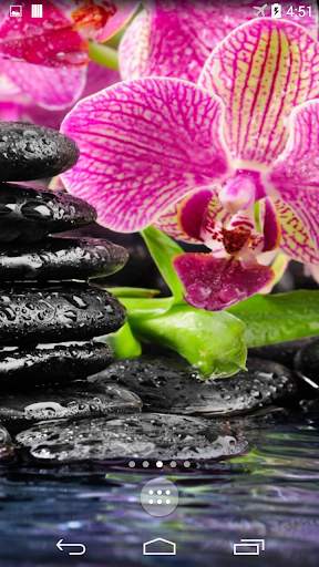 Orchid 4K Live Wallpaper screenshot 5