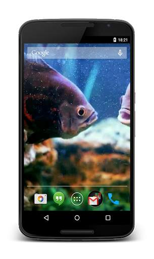 Aquarium 3D Video Wallpaper screenshot 4