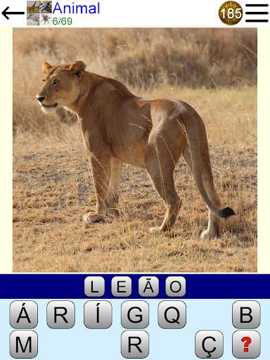 Quiz Imagem screenshot 17