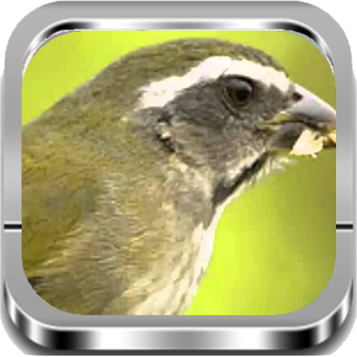 Trinca Ferro |Completos icon