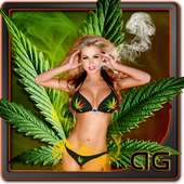 Sexy Weed Girl logo