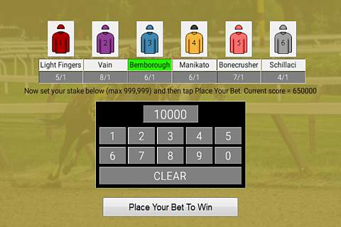Flat Race Horse Racing screenshot 1