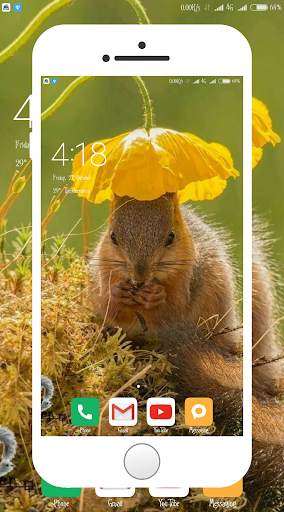 Squirrel Wallpaper screenshot 2