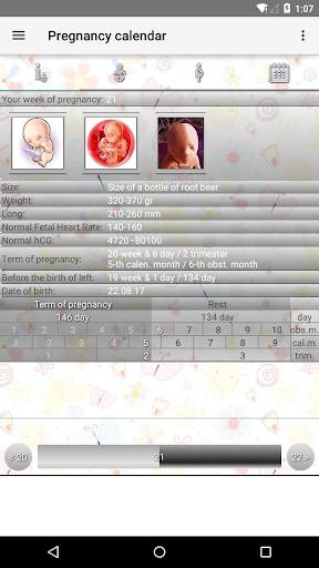 Pregnancy Calendar screenshot 2