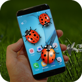 Ladybug in Phone Joke icon