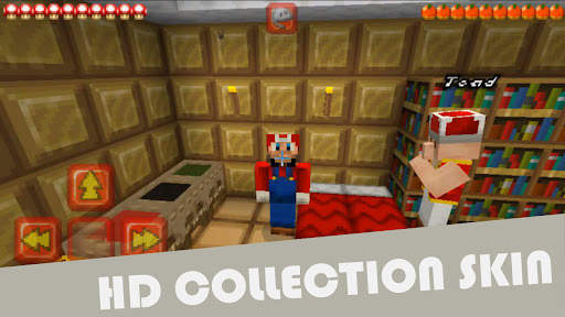 Super Mod For Mario Minecraft screenshot 5