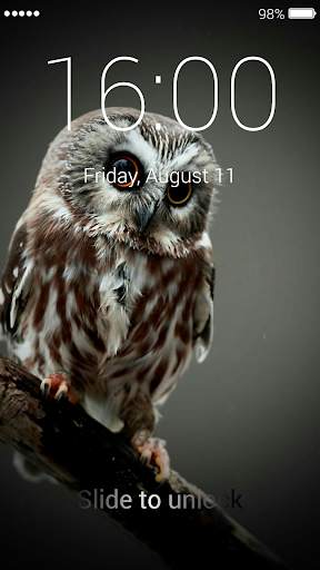 Owl Lock Screen & Wallpaper 7 تصوير الشاشة