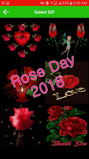 Rose Day Gif & Images 2 تصوير الشاشة