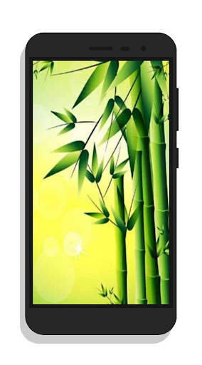 Amazing Nature Wallpaper screenshot 1