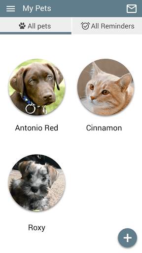 Pou Vet Group screenshot 5
