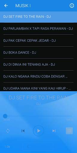 DJ SET FIRE TO THE RAIN REMIX VIRAL screenshot 2