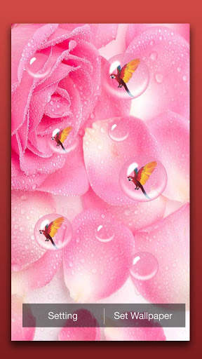 Petals Live Wallpaper screenshot 4