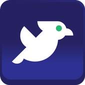 City Bird 1.0