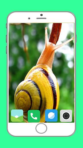 Snail Wallpaper Full HD screenshot 9