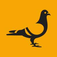 GETCOO Travel logo