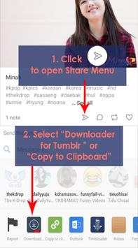 Downloader for Tumblr screenshot 2