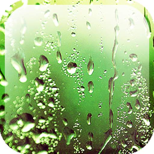 Rain Appling Live Wallpaper 1.3.6