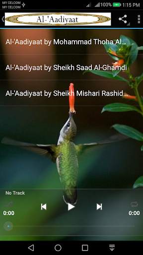 Al-'Aadiyaat скриншот 2