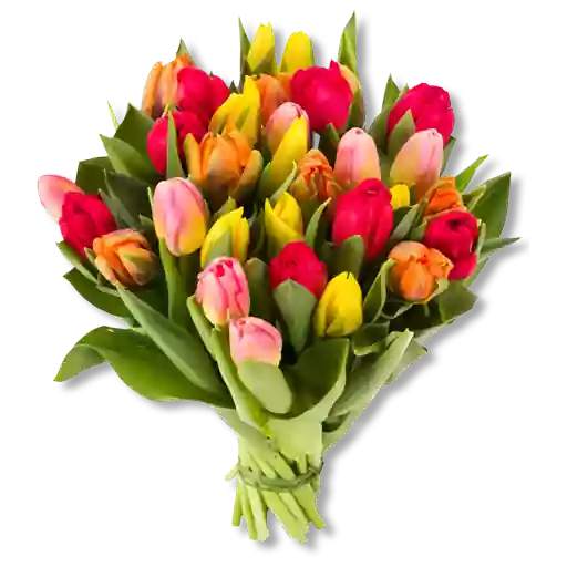 Flowers Stickers for Whatsapp 5.0