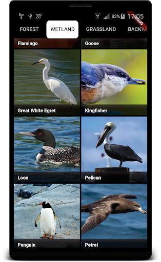 Bird Sounds स्क्रीनशॉट 6
