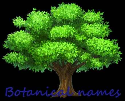 Botanical Names screenshot 1