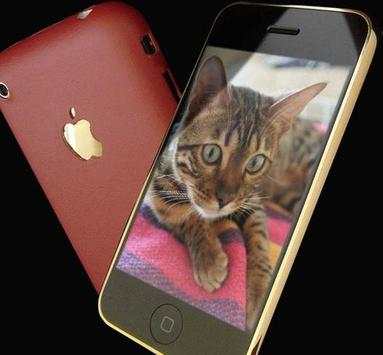 cats wallpapers for whatsapp screenshot 1