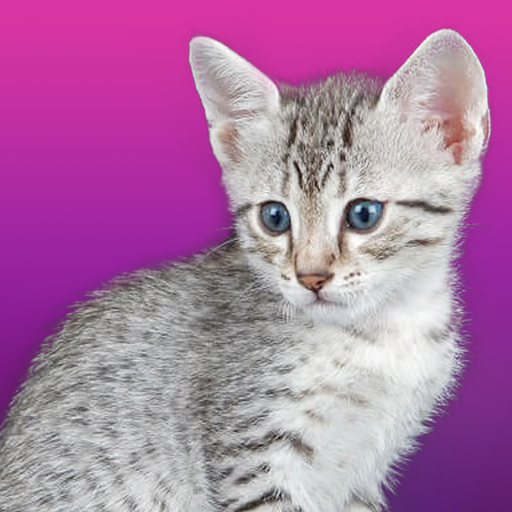 Talking Egyptian Cat icon